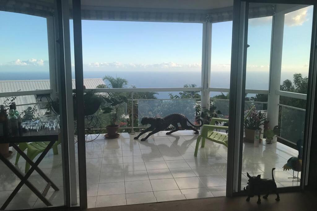 St Leu -Villa D'Artiste, Superbe Vue Mer, Piscine Chauffee Saint-Leu Exteriér fotografie